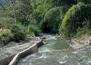 Con  programas de preservación y conservación del recurso hídrico de la ciudad el Ibal impulsa a la preservación