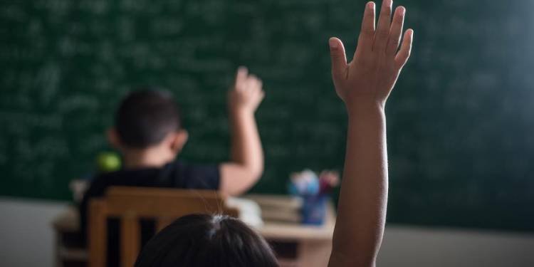 Ibagué alcanza 96 % en matrícula escolar y proyecta cobertura total a final de marzo