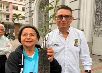 Secretaría de Ambiente entregó material vegetal en Domingo de Ramos en Ibagué 