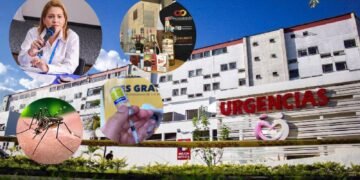 Fiebre amarilla, dengue y licor adulterado: las amenazas que ponen en máxima alerta al Tolima en Semana Santa