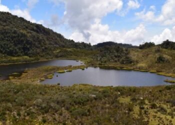 $8.400 millones para salvar La Herreruna en el suroriente del Tolima