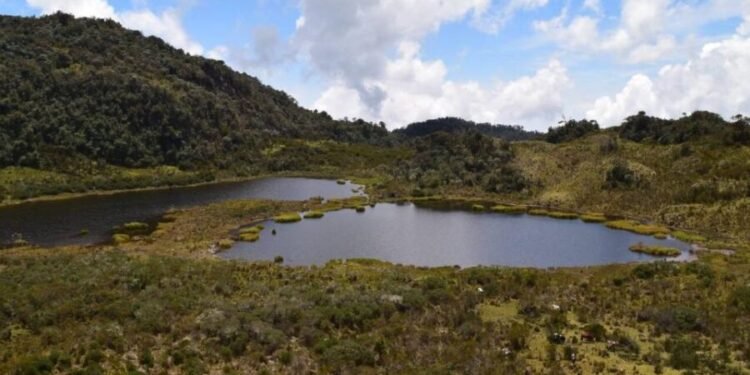 $8.400 millones para salvar La Herreruna en el suroriente del Tolima