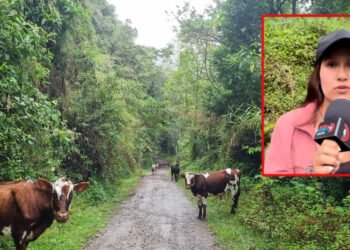 Guardianes ambientales vigilan predios del IBAL en el Cañón del Combeima