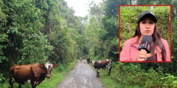 Guardianes ambientales vigilan predios del IBAL en el Cañón del Combeima