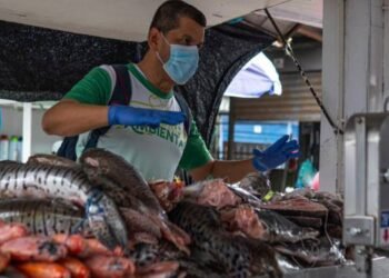Secretaría de Salud de Ibagué entregó recomendaciones para compra segura de pescado en Semana Santa