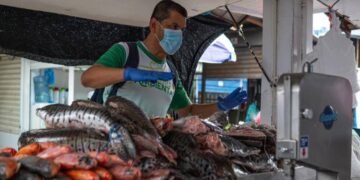 Secretaría de Salud de Ibagué entregó recomendaciones para compra segura de pescado en Semana Santa