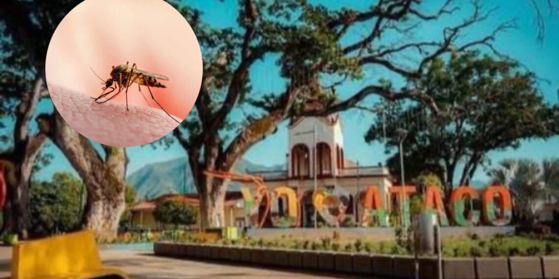 “Fiebre del oro” enciende alerta sanitaria en el Tolima, detectan malaria en minera ilegal en Ataco