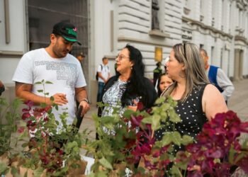 Entregarán material vegetal para evitar uso de palma de cera en Domingo de Ramos en Ibagué