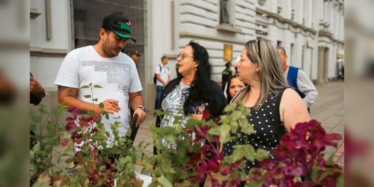 Entregarán material vegetal para evitar uso de palma de cera en Domingo de Ramos en Ibagué