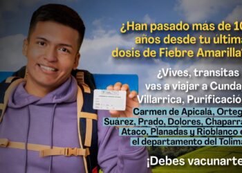 Semana Santa con alerta sanitaria: ¿12 municipios del Tolima, bajo prioridad por aumento de fiebre amarilla?