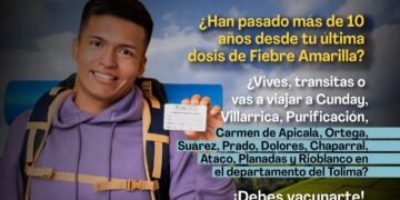 Semana Santa con alerta sanitaria: ¿12 municipios del Tolima, bajo prioridad por aumento de fiebre amarilla?