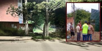 La denuncia de la comunidad ayudó a que predio no fuera invadido