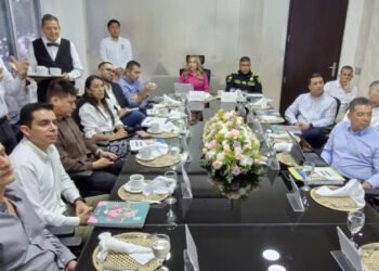 Movilidad, Central de Abastos y Aeropuerto Perales temas de la reunión de los congresistas con la Alcaldesa de Ibagué