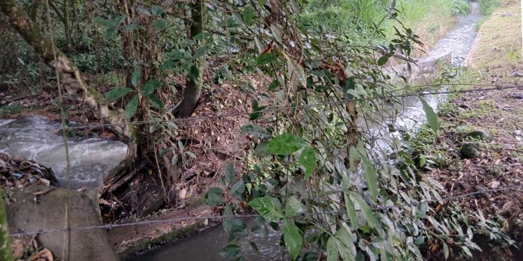 En el Concejo de Ibagué se darán a conocer los avances en el cuidado del río Opia