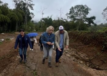 En Fresno, Cortolima construye muro de contención para mitigar riesgo de deslizamientos