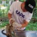 CAPA realiza jornadas de esterilización y atención a animales en Ibagué