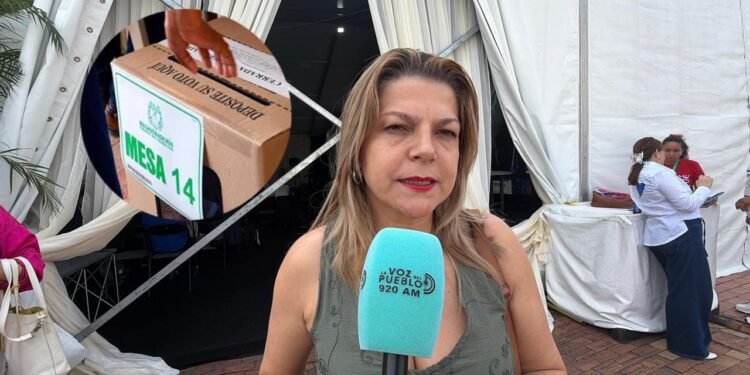 Sin ley seca y con apuesta a la participación: Líbano se alista para elecciones comunales