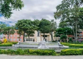 Restricciones en movilidad, uso de drones y transporte de materiales en el Centro de Ibagué