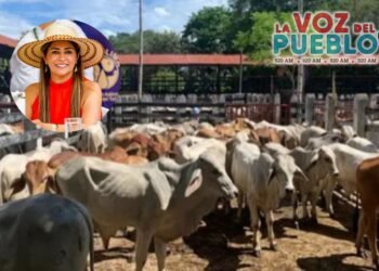 Les declaran la guerra a ´Los Cuatreros´ y refuerza seguridad rural en El Guamo, Saldaña y Purificación