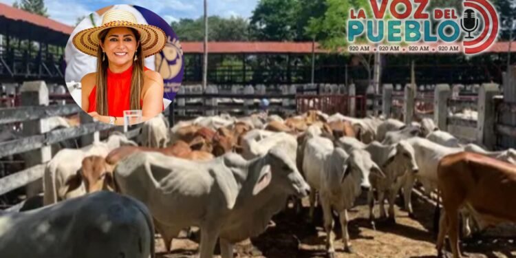 Les declaran la guerra a ´Los Cuatreros´ y refuerza seguridad rural en El Guamo, Saldaña y Purificación