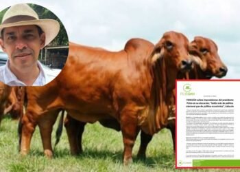 Ganaderos del Guamo se verían afectados por la propuesta de Petro de bajar el precio de la carne y las exportaciones