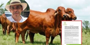 Ganaderos del Guamo se verían afectados por la propuesta de Petro de bajar el precio de la carne y las exportaciones