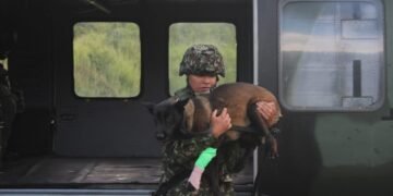 ¡Drama en el sur del Tolima! “Candy” cae tras ataque de serpiente en plena operación militar