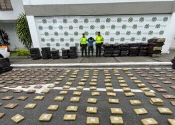 Millonario golpe al narcotráfico: incautaron casi dos toneladas de marihuana en el peaje de Gualanday