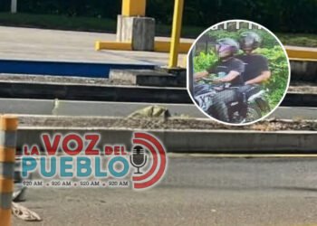 ¡Mataron y huyeron! Violento ataque a bala en la vía Honda–Mariquita