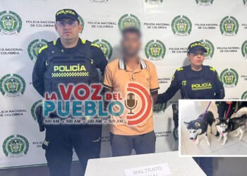 ¡Sin compasión! Capturan a hombre por presunto maltrato a dos perros en pleno centro