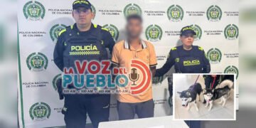 ¡Sin compasión! Capturan a hombre por presunto maltrato a dos perros en pleno centro