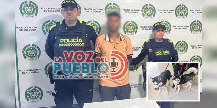 ¡Sin compasión! Capturan a hombre por presunto maltrato a dos perros en pleno centro