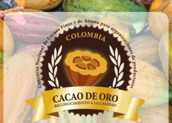 “Es el momento del chocolate tolimense”: abren convocatoria para el Cacao de Oro con participación internacional