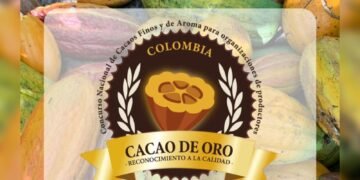 “Es el momento del chocolate tolimense”: abren convocatoria para el Cacao de Oro con participación internacional