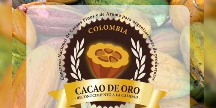 “Es el momento del chocolate tolimense”: abren convocatoria para el Cacao de Oro con participación internacional