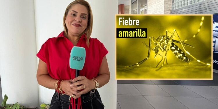 Hospital Federico Lleras Acosta reporta 38 decesos por fiebre amarilla y nuevos casos en observación