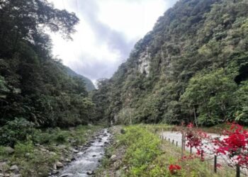 Comunidades y el Ibal avanzan en conservación de fuentes hídricas en el Cañón del Combeima