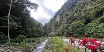 Comunidades y el Ibal avanzan en conservación de fuentes hídricas en el Cañón del Combeima