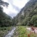 Comunidades y el Ibal avanzan en conservación de fuentes hídricas en el Cañón del Combeima