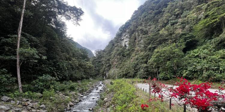 Comunidades y el Ibal avanzan en conservación de fuentes hídricas en el Cañón del Combeima