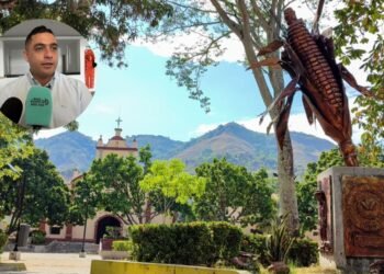 Valle de San Juan en alerta por cambio y desplome de precios ponen en riesgo la producción de maíz