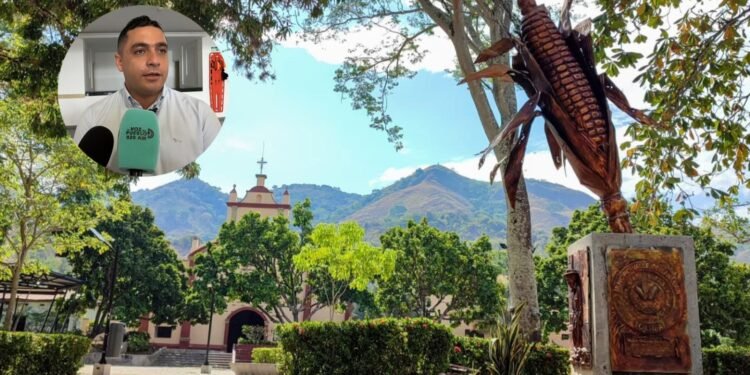 Valle de San Juan en alerta por cambio y desplome de precios ponen en riesgo la producción de maíz