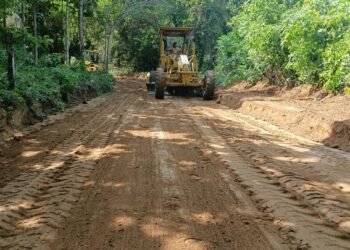 Alvarado pisa el acelerador: maquinaria entra a La Tigrera para rescatar producción agrícola