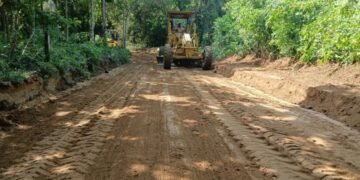 Alvarado pisa el acelerador: maquinaria entra a La Tigrera para rescatar producción agrícola