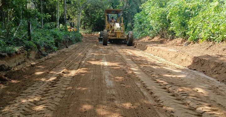 Alvarado pisa el acelerador: maquinaria entra a La Tigrera para rescatar producción agrícola