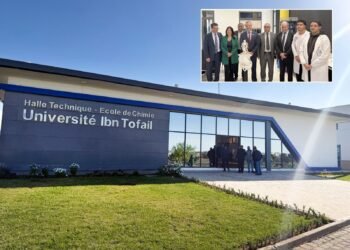 Universidad del Tolima consolida alianzas internacionales tras misión académica en Europa y África