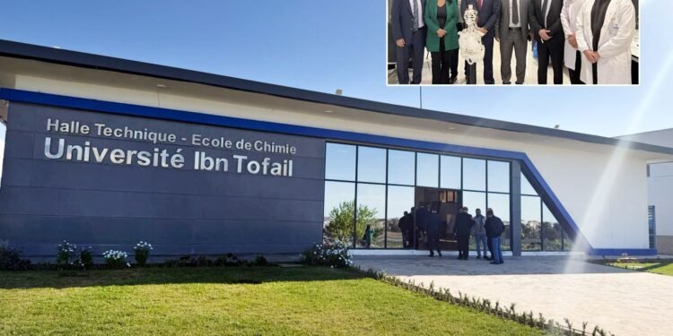 Universidad del Tolima consolida alianzas internacionales tras misión académica en Europa y África