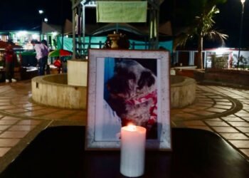 Roncesvalles dice ¡NO al maltrato animal! Alcaldía exige justicia por repudiable caso