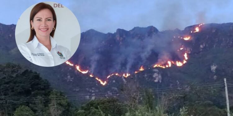 Entre lluvias e incendios: autoridades alertan por quemas y preparan al Tolima para un “superNiño”
