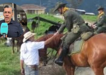 Cámaras, denuncias y toque de queda ganadero: la apuesta del Tolima contra el abigeato